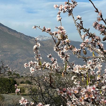 Cortijo Vacas Gordas B&B Castell de Ferro Eksteriør billede