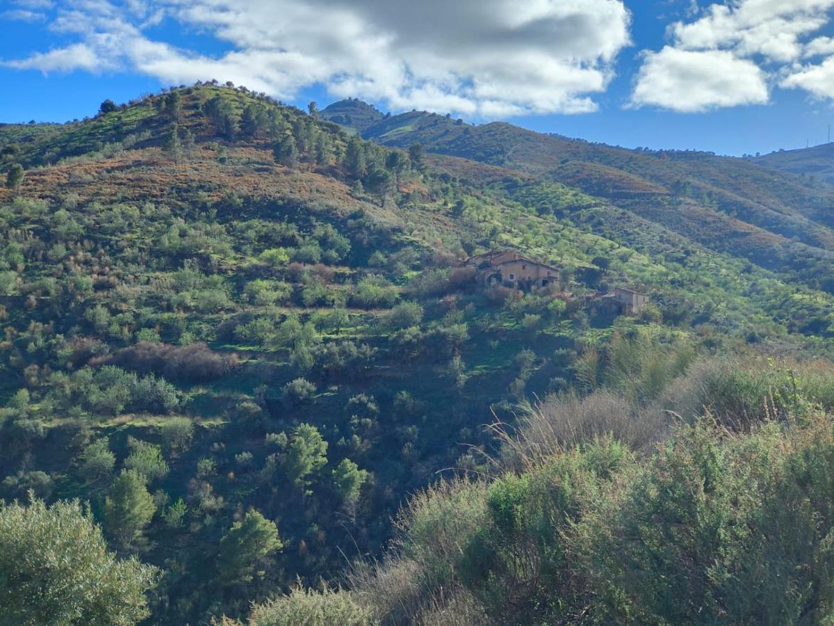 Cortijo Vacas Gordas B&B Castell de Ferro Eksteriør billede